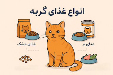 انواع غذای گربه و راهنمای انتخاب بهترین گزینه